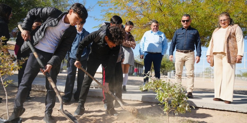 Agradece Secundaria Técnica No 75 reforestación de Obras Públicas