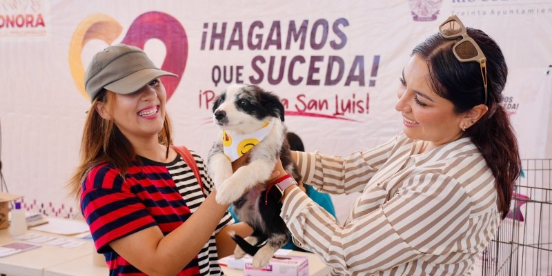 Inicia Salud Pública Campaña de Adopción Canina 2024