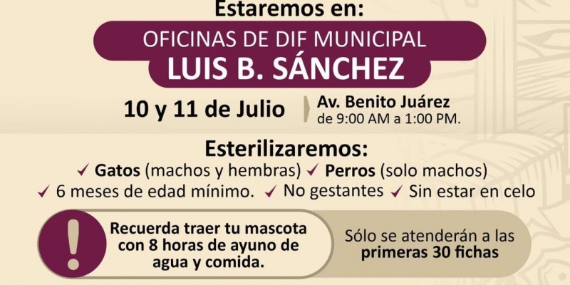 Llevará Salud Pública campaña de esterilización a mascotas en el valle