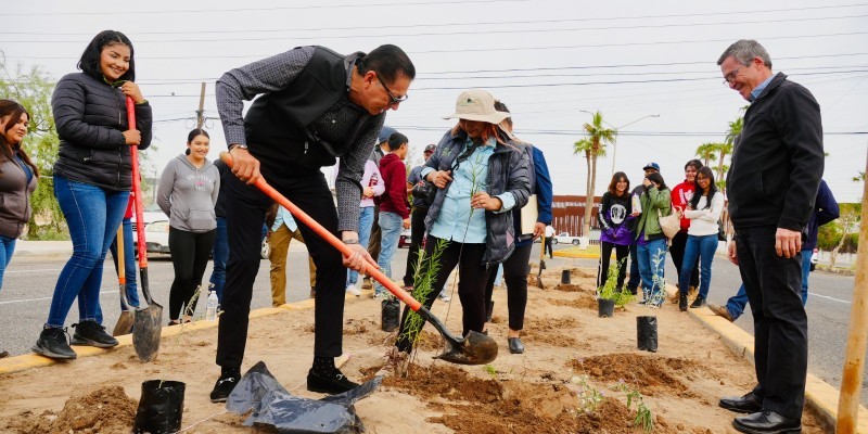 Participa Ayuntamiento en reforestación conjunta con Pronatura