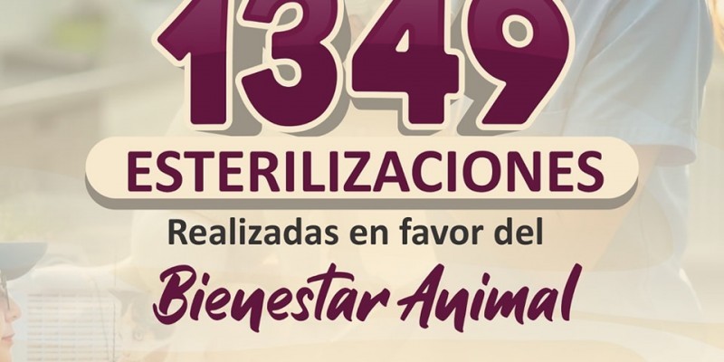 Suma Salud Pública más de mil 300 esterilizaciones