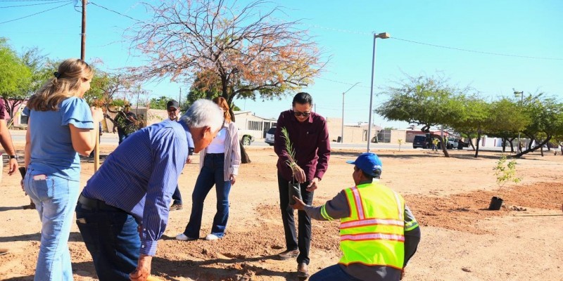 Van más de 200 árboles plantados en la ciudad